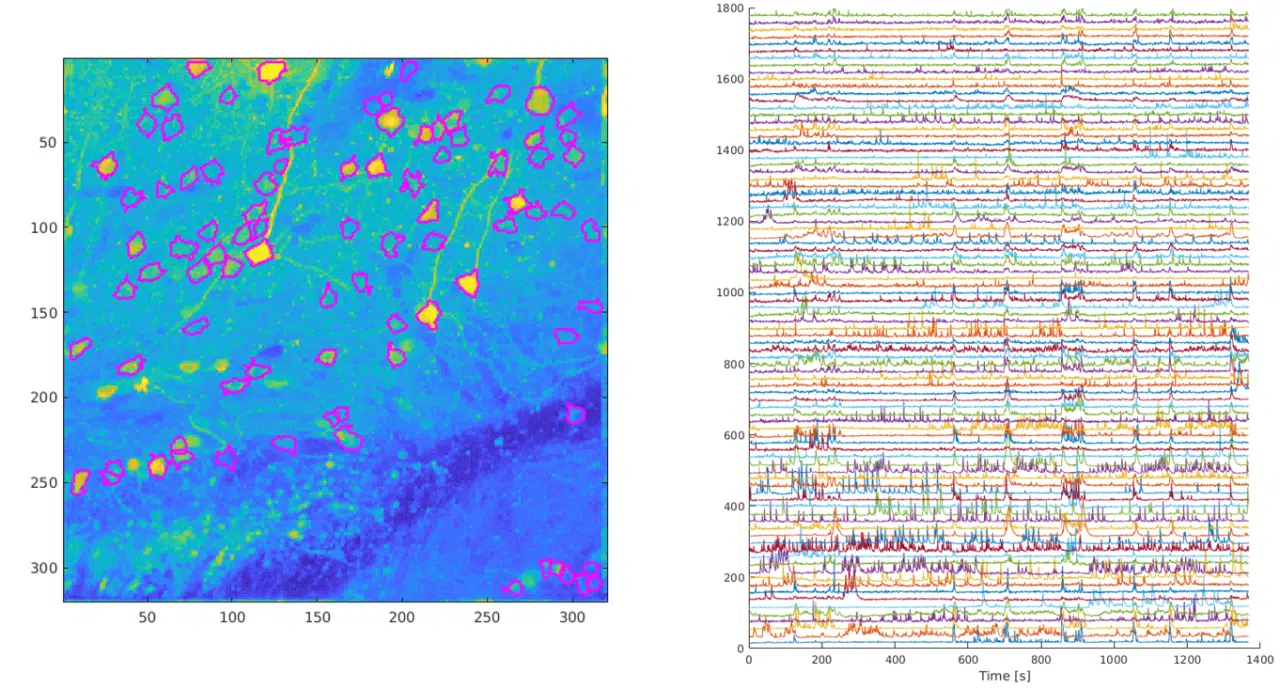 sample calcium signaling data from neurotar