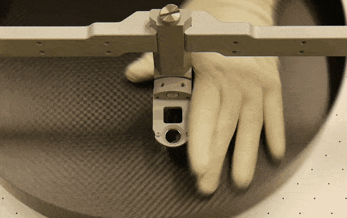 Head fixing mouse in the Levelt clamp