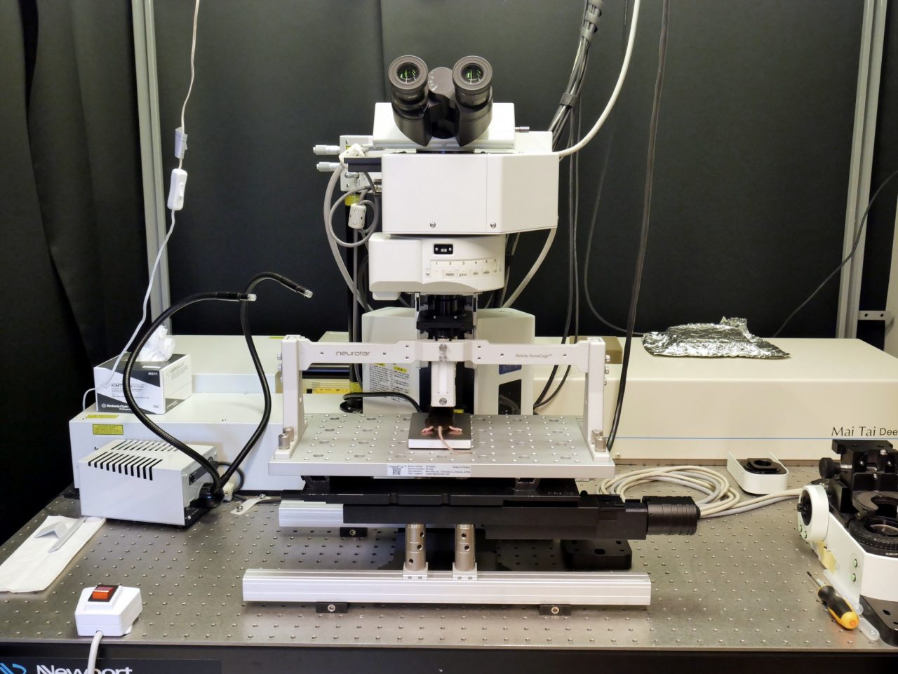 HeadFix for imaging in anesthetized mice in Olympus set-up