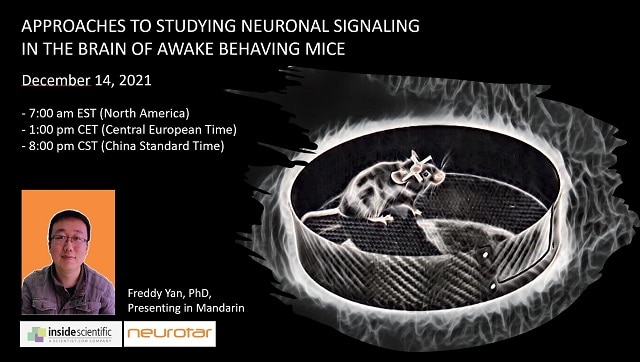 Webinar on approaches to studying the awake brain  - December 2021